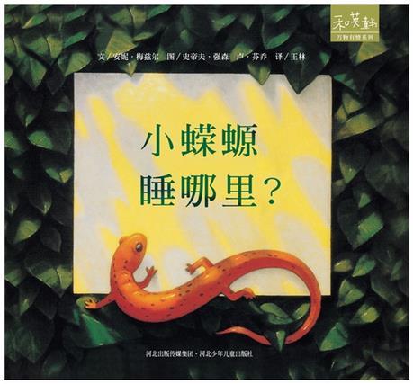 小蝾螈睡哪里
