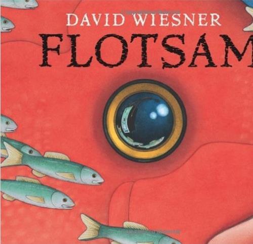 Flotsam (Caldecott Medal Book) 流浪的照相机