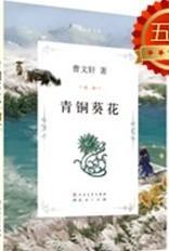 青铜葵花