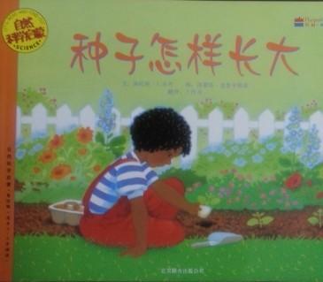 种子怎样长大 