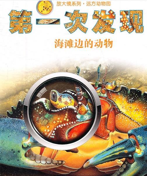 第一次发发现从书：海滩边的动物
