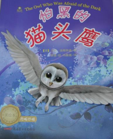 怕黑 猫头鹰
