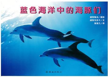 蓝色海洋中的海豚们